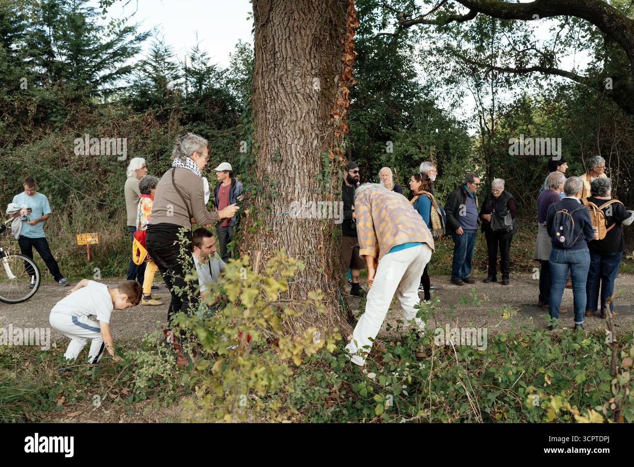 Des militants plantent des clous dans un arbre pour empecher des tronconneuses de passer, donc la personne qui viendra abattre cet arbre-la, la tronconneuse va taper dans le Metal des clous, CA va endommager la tronconneuse, sans risque pour l utilisateur. Manifestation Beenden Sie Die Betonisation. Rassemblement citoyen, Marches des Resistances pour rappeler l urgence climatique, sociale et democratique. 10 ans apres les Accords de Paris, l heure n EST plus aux demi-mesures. Eine künstliche Gestaltung des Denoncer en cours dans la ZAC de Bas-pays a Montauban. Les Riverains de Bas-Pays, Fr. Stockfoto