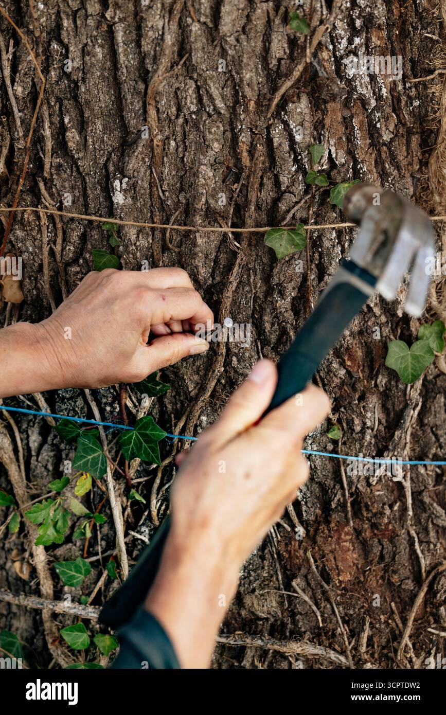 Des militants plantent des clous dans un arbre pour empecher des tronconneuses de passer, donc la personne qui viendra abattre cet arbre-la, la tronconneuse va taper dans le Metal des clous, CA va endommager la tronconneuse, sans risque pour l utilisateur. Manifestation Beenden Sie Die Betonisation. Rassemblement citoyen, Marches des Resistances pour rappeler l urgence climatique, sociale et democratique. 10 ans apres les Accords de Paris, l heure n EST plus aux demi-mesures. Eine künstliche Gestaltung des Denoncer en cours dans la ZAC de Bas-pays a Montauban. Les Riverains de Bas-Pays, Fr. Stockfoto