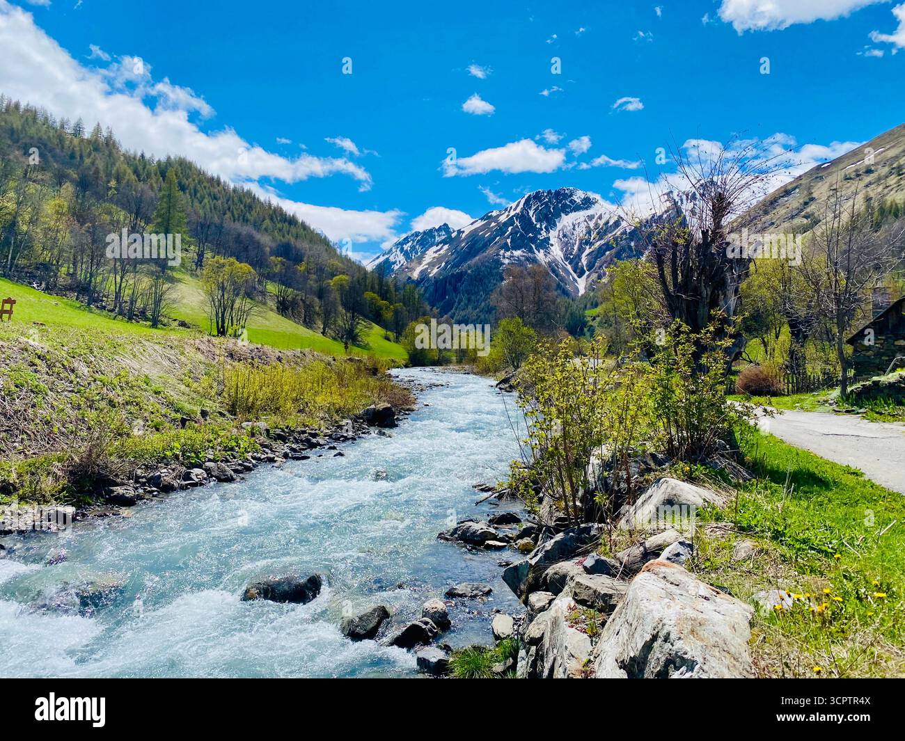Bergflußlandschaft mit blühenden Bäumen, gepflasterten Pfaden und schneebedeckten Gipfeln im Frühling - Smartphone-aufgenommenes Stockfoto