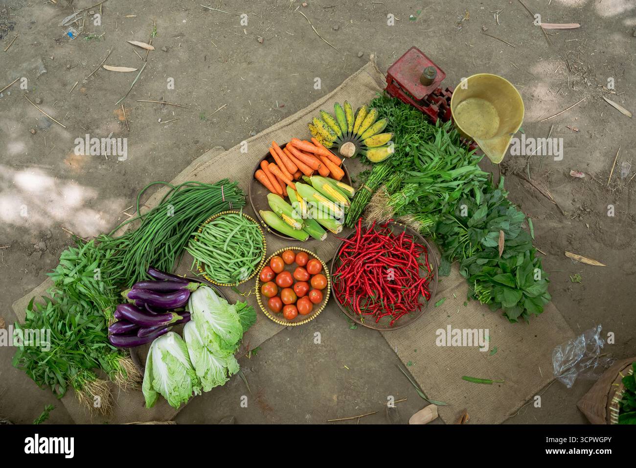 Wunderschönes frisches Bio-Gemüse auf dem lokalen und lebhaften Marktstand Stockfoto