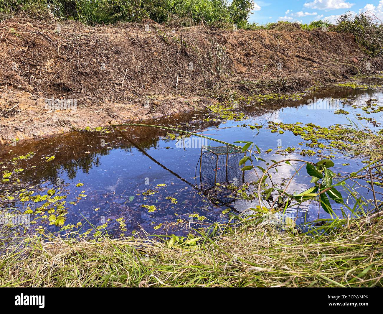 Traditionelle Fischfalle aus Bambus - Smartphone-aufgenommenes Stockfoto