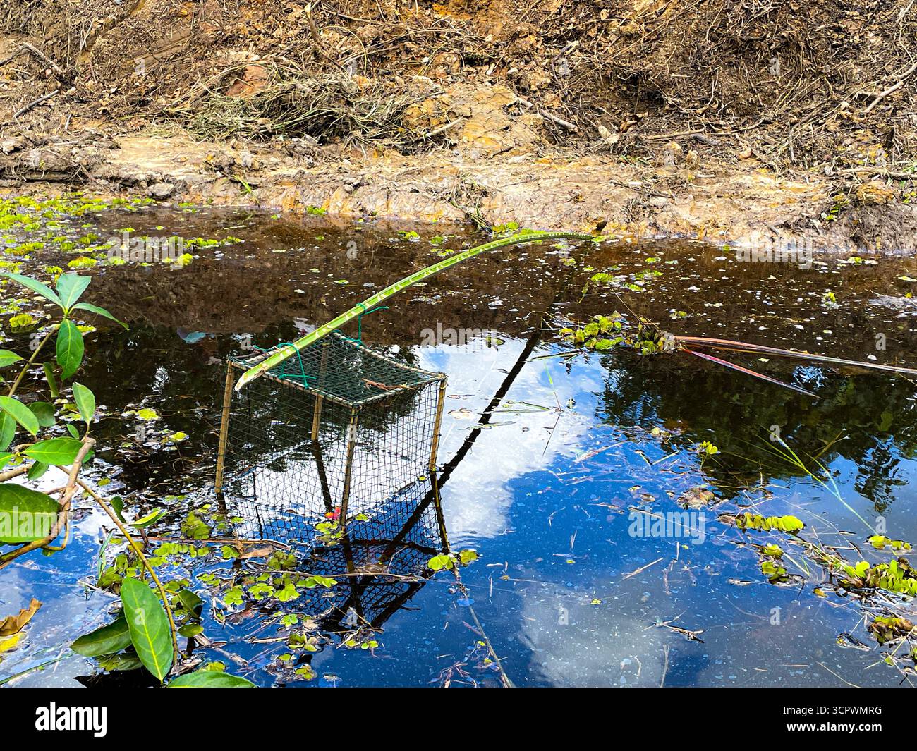 Traditionelle Fischfalle aus Bambus in einem kleinen Fluss - Smartphone-aufgenommenes Stockfoto