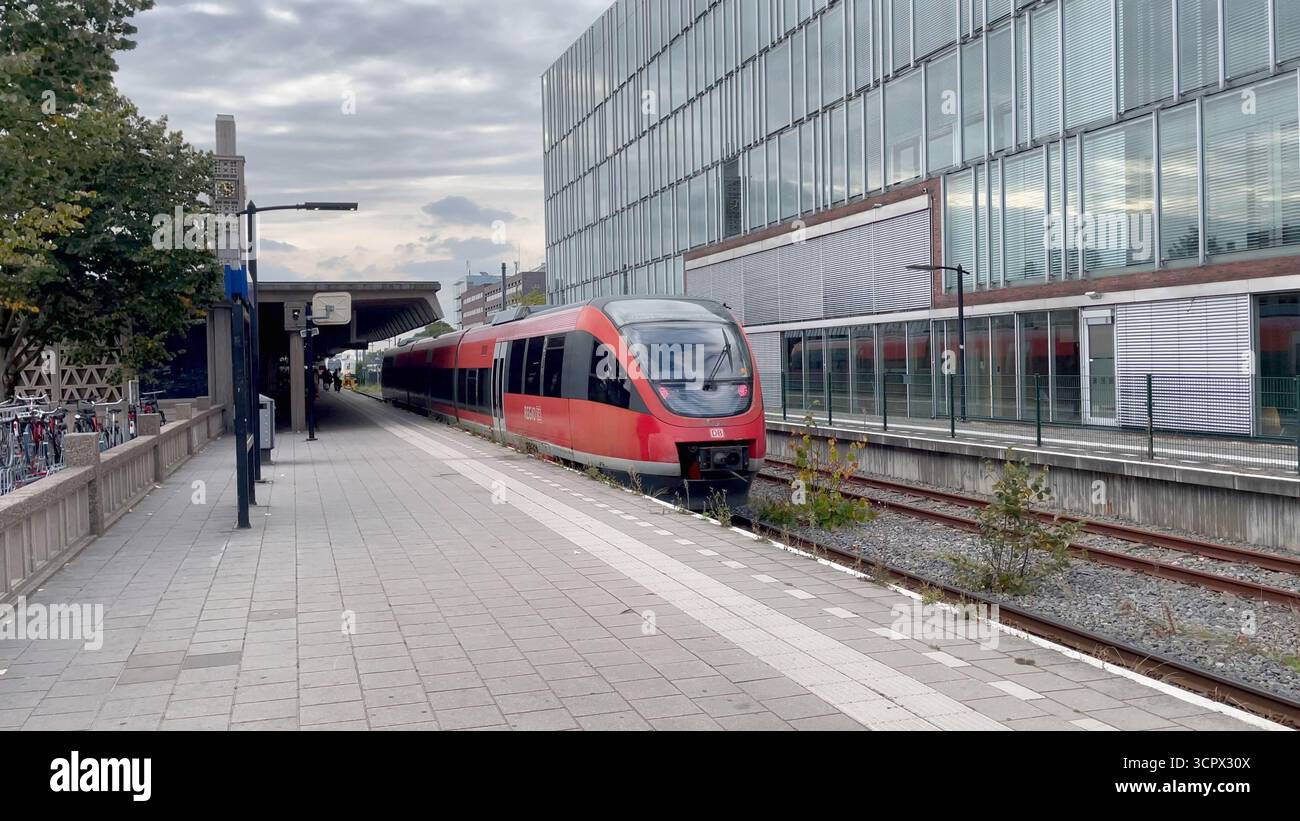 Enschede Overijssel Niederlande 26. September 2025 DB Deutsche Bahn Regionalbahn Linie RB51 zwischen Dortmund und Enschede kommt am Bahnhof Enschede an. International, zug, Verkehr, Passagier, Reisen, reis, Stockfoto