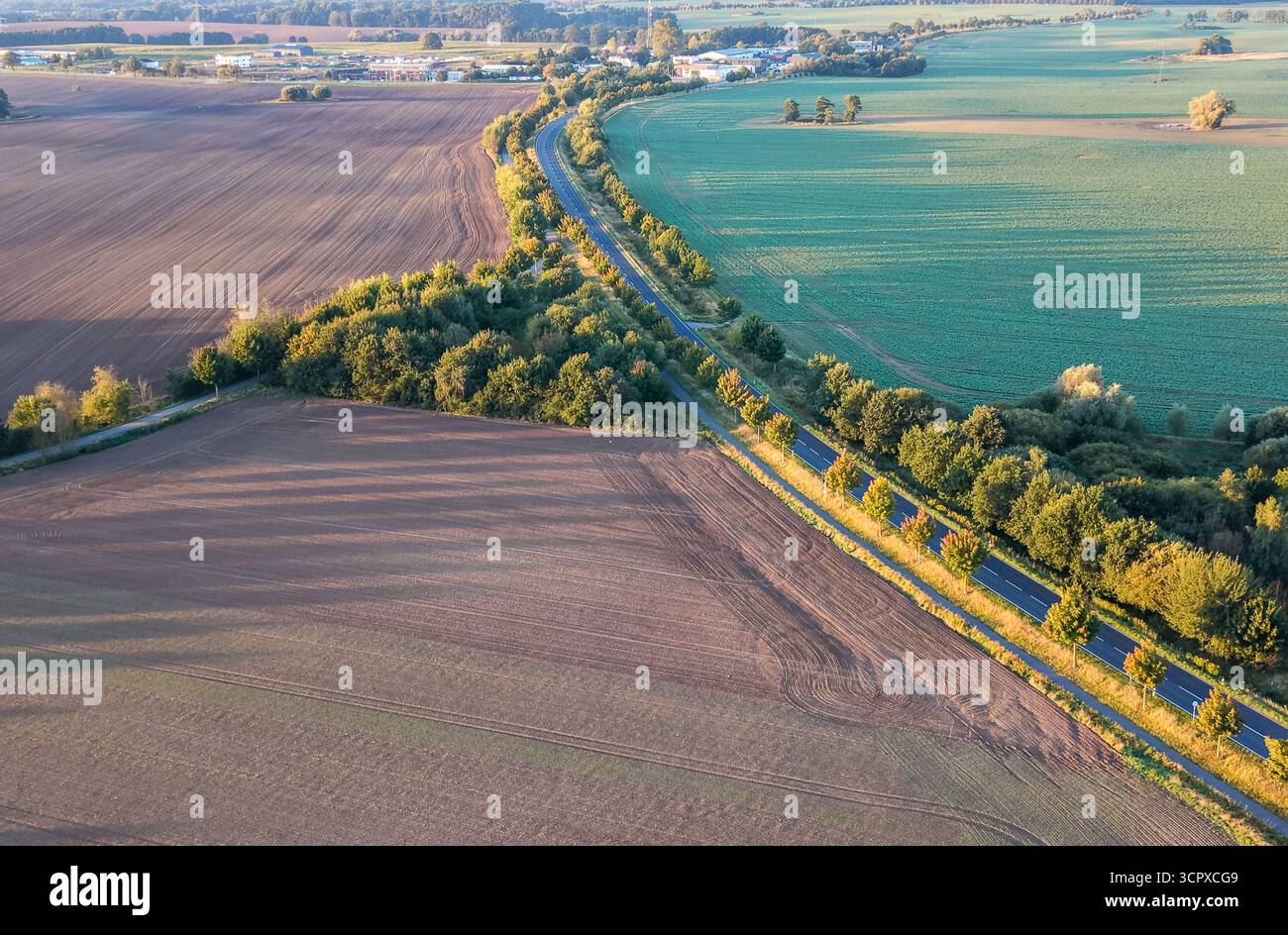Aus der Vogelperspektive sehen Sie bewirtschaftete Felder, die durch eine von Bäumen gesäumte Landstraße geteilt sind und in das sanfte goldene Licht des späten Nachmittags oder frühen Abends getaucht sind Stockfoto