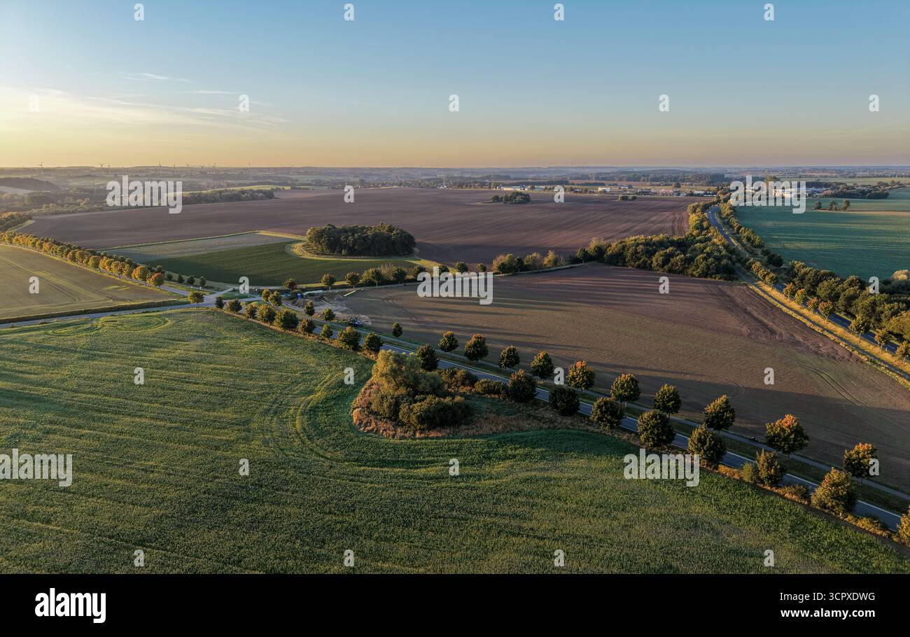 Weitläufiges Ackerland erstreckt sich unter sanftem Morgenlicht über die Landschaft, mit baumgesäumten Straßen, die grüne und braune Felder in einer ruhigen ländlichen Umgebung teilen Stockfoto