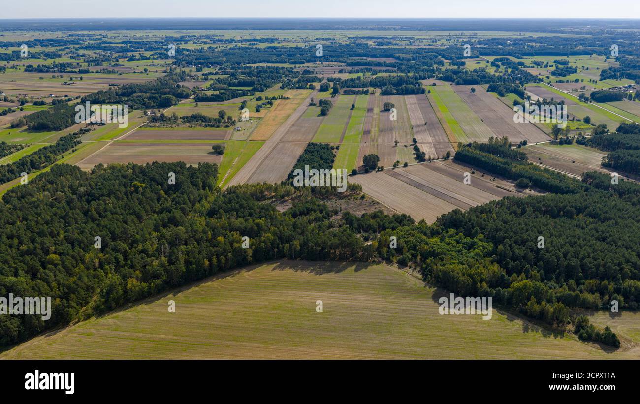 Panoramablick auf rechteckige landwirtschaftliche Felder in Grün- und Brauntönen, durchsetzt mit dichten Waldflächen und ländlichen Strukturen. Stockfoto