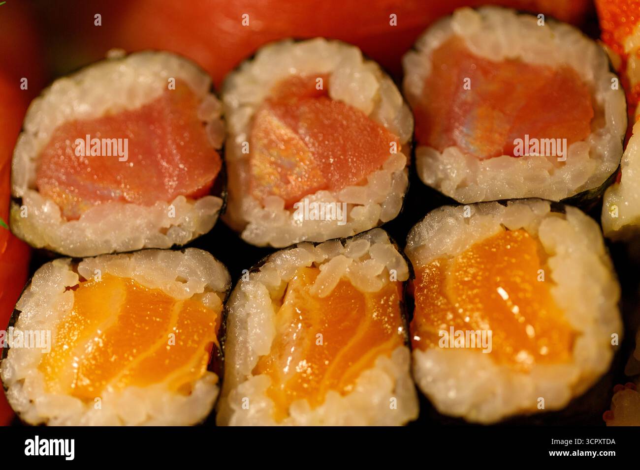 Eine Nahaufnahme von sechs Sushi-Brötchen, von denen drei in der oberen Reihe mit rosa-rotem Fisch und drei in der unteren Reihe mit Orangenfisch gefüllt sind. Stockfoto