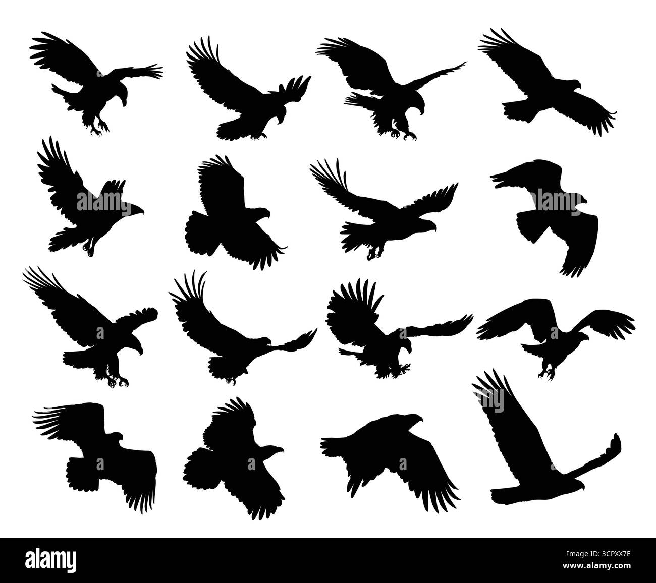 Große Silhouetten wilder Adler im Flug. Stock Vektor