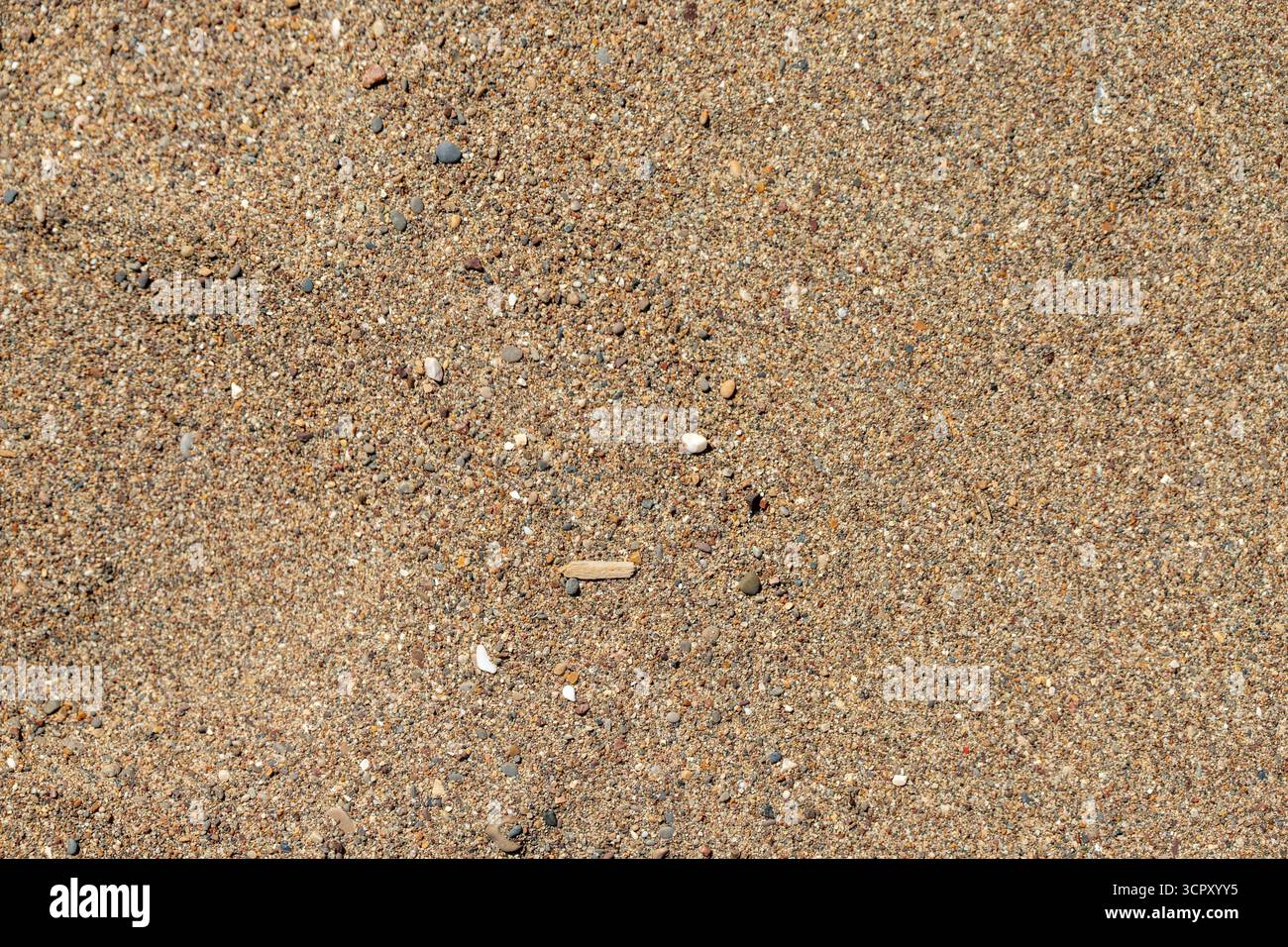 Ein Schuss von Sand und kleinen Kieselsteinen, mit ein paar kleinen Muschelfragmenten und einem Zweig, der über die Oberfläche verstreut ist. Stockfoto
