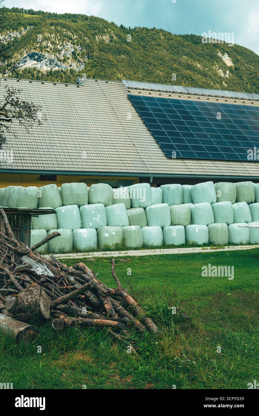 Große grüne Silageballen, die ordentlich entlang eines ländlichen Hofes angeordnet sind, mit Bergen, die hinter den Scheunen aufsteigen. Selektiver Fokus. Stockfoto