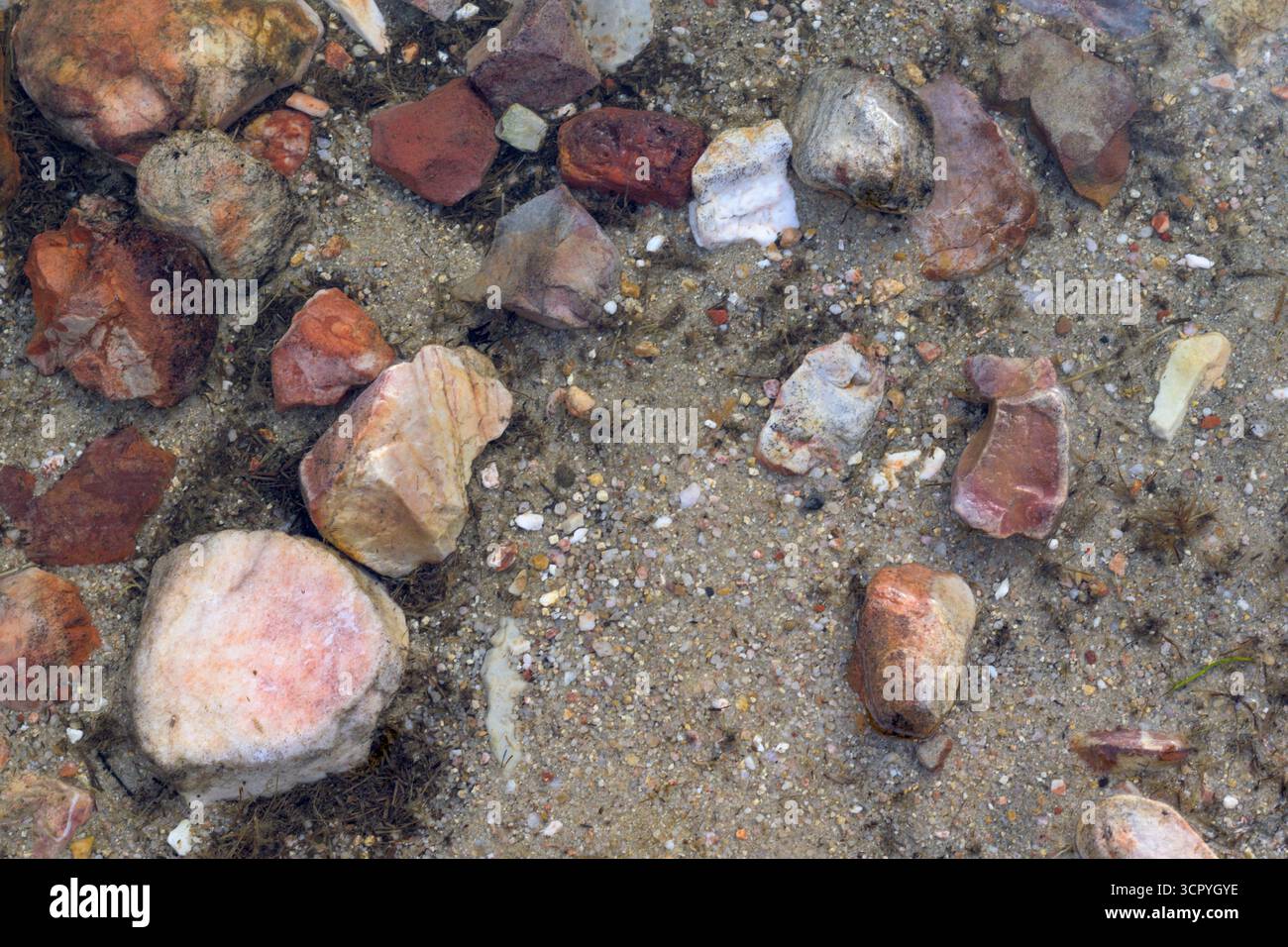 Nahaufnahme farbenfroher Steine und Kieselsteine unter klarem Wasser auf einem Sandbett. Das Bild zeigt natürliche Texturen, Erdtöne und die Mischung aus Rot Stockfoto