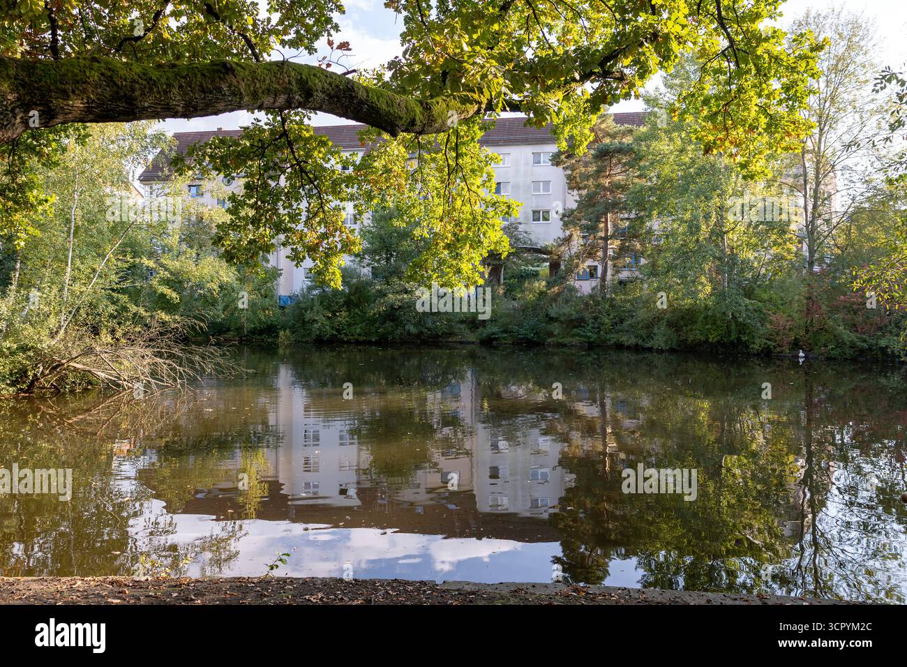 Nürnberg, Deutschland. September 2025. Der Langwassersee im Süden Nürnbergs. Gestern, Samstag, 27. September 2025, starben Fische aus noch unbekanntem Grund im See. Die Suche nach der Ursache ist noch nicht abgeschlossen. Vermerk: Daniel Karmann/dpa/Alamy Live News Stockfoto