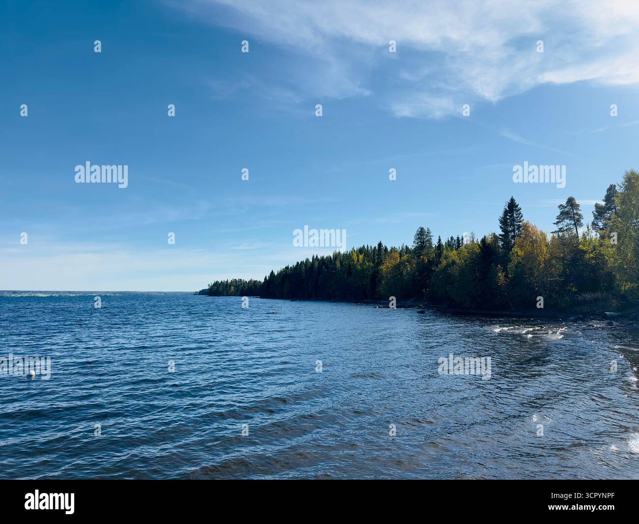 Malerischer Blick auf einen ruhigen See mit üppigen grünen Bäumen unter einem klaren blauen Himmel. Stockfoto