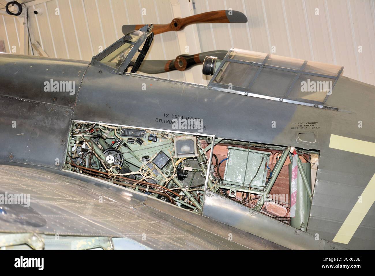 Sea Hurricane 1b, Shuttleworth Trust, Old Warden, Bedfordshire, Großbritannien Stockfoto