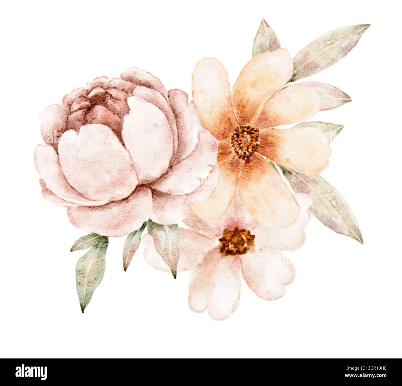 Elegante Aquarellillustration blühender Pfingstrosen- und Magnolienblüten mit Blättern. Weiche Pastelltöne sorgen für einen lockeren Stil, ideal für Hochzeitseinladungen Stockfoto