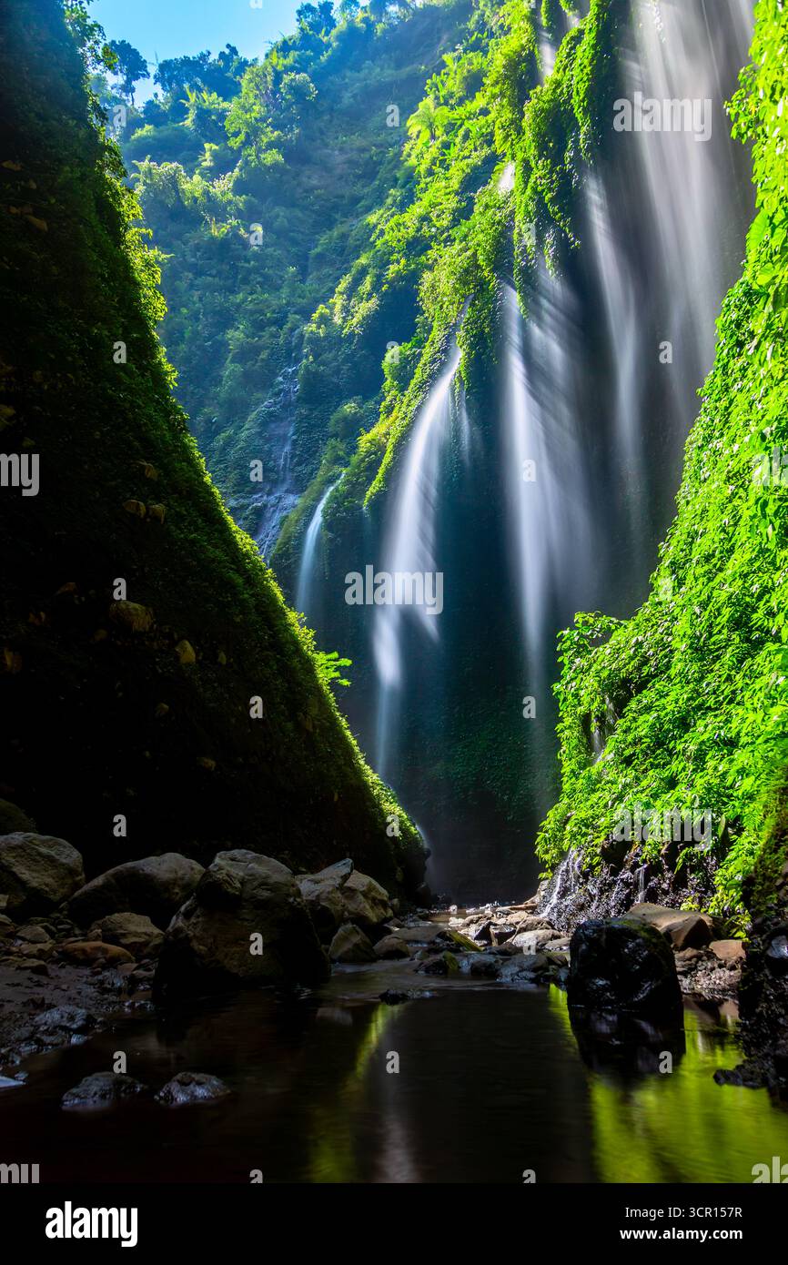 Madakaripura Wasserfall in einem Nationalpark. Berühmte Touristenattraktion. Java Island, Indonesien. Stockfoto