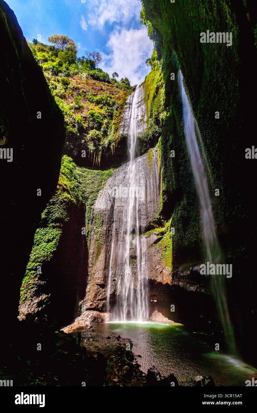 Madakaripura Wasserfall in einem Nationalpark. Berühmte Touristenattraktion. Java Island, Indonesien. Stockfoto