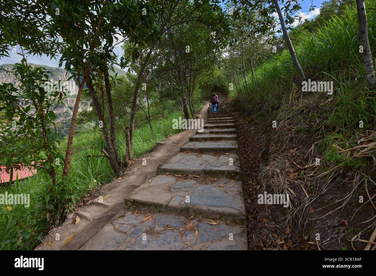 Gocta Wasserfälle, einer der höchsten Wasserfälle der Welt, in der Amazonas-Region im Norden Perus. Umgeben von üppigem Nebelwald. Stockfoto