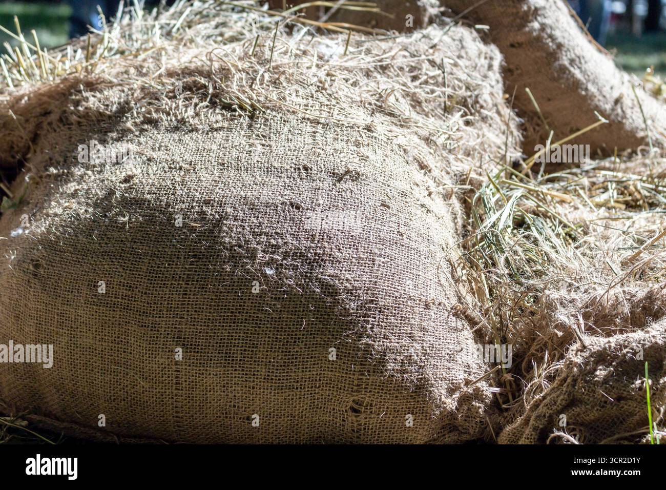 Detaillierte Aufnahme, die die raue Textur von Jutebeuteln mit goldenem Heu erfasst, die an ländliche Landschaften und landwirtschaftliche Vielfalt erinnern, perfekt für natura Stockfoto