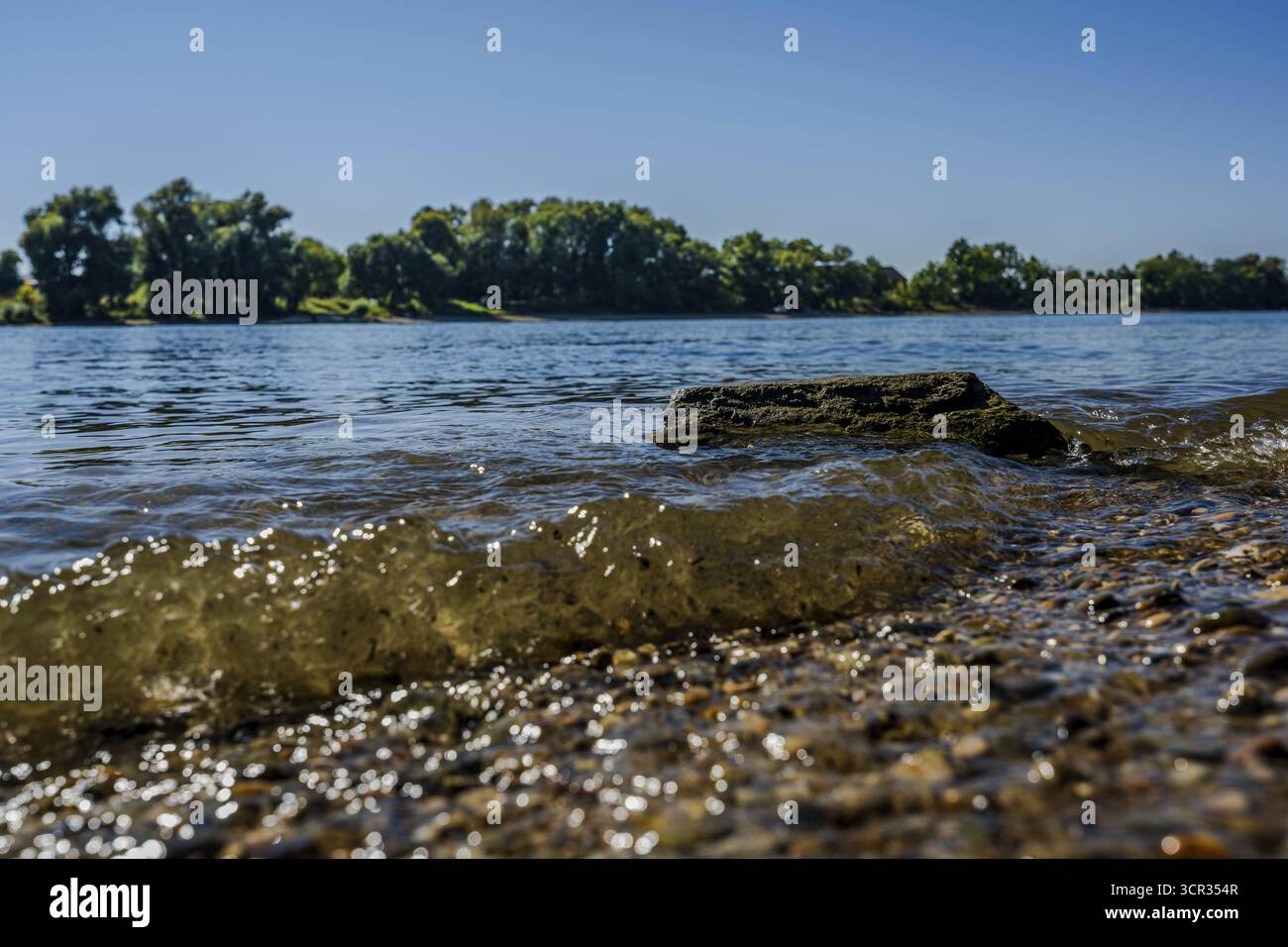 Die Sonne scheint auf dem ruhigen Wasser eines Flusses. Kleine Wellen schlagen sanft gegen das Ufer, während das grüne Ufer mit Bäumen und Büschen zu sehen ist. Bogen Stockfoto