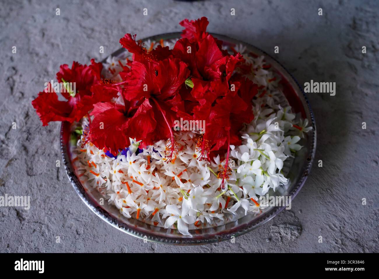 Dhaka, Dhaka, Bangladesch. September 2025. Mit der Ankunft des Herbstes in Bengalen läutet der Duft der Sheuli-Blüten das Aufkommen von Durga Puja ein. Der Rhythmus des Dhak, der Klang der Muschel und die frische Verzierung der Natur schaffen zusammen eine festliche Atmosphäre. Am 29. September 2025, dem Tag von Maha Saptami, konnte man bei der Überquerung von schlammigen Straßen und einer provisorischen Brücke aus Betelnussbäumen eine einzigartige ländliche Feier von Durga Puja im Boral Bari im Dorf Swarupkathi erleben. Mit bunten Blumen, den Takten des Dhak und der anmutigen Teilnahme von Dorffrauen, der Anbetungskredit Stockfoto
