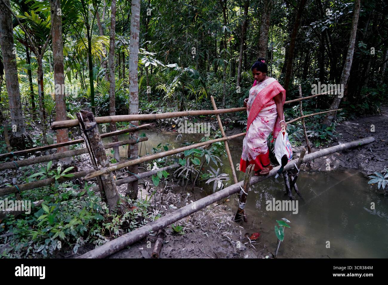 Dhaka, Dhaka, Bangladesch. September 2025. Mit der Ankunft des Herbstes in Bengalen läutet der Duft der Sheuli-Blüten das Aufkommen von Durga Puja ein. Der Rhythmus des Dhak, der Klang der Muschel und die frische Verzierung der Natur schaffen zusammen eine festliche Atmosphäre. Am 29. September 2025, dem Tag von Maha Saptami, konnte man bei der Überquerung von schlammigen Straßen und einer provisorischen Brücke aus Betelnussbäumen eine einzigartige ländliche Feier von Durga Puja im Boral Bari im Dorf Swarupkathi erleben. Mit bunten Blumen, den Takten des Dhak und der anmutigen Teilnahme von Dorffrauen, der Anbetungskredit Stockfoto