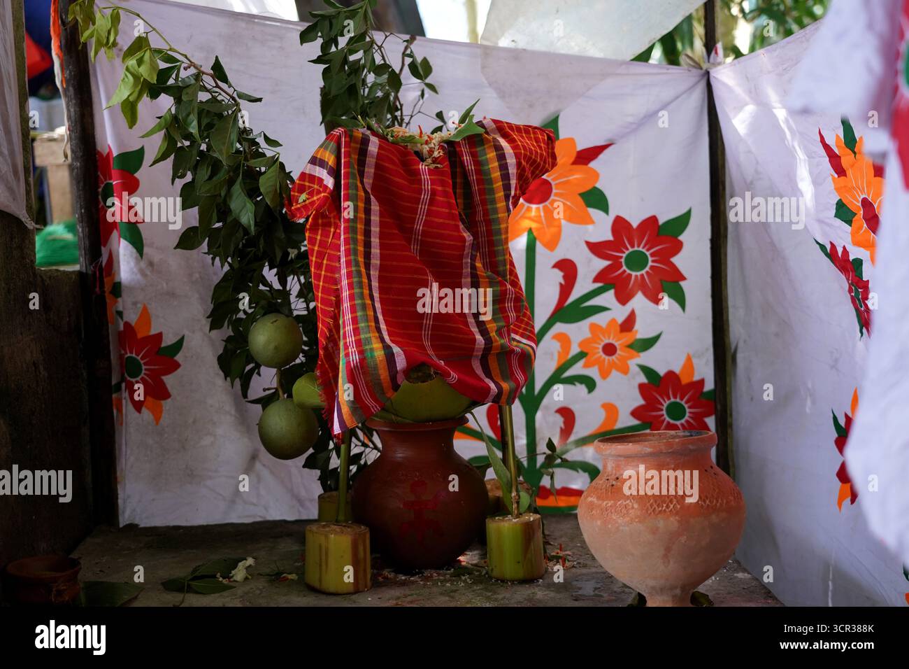 Dhaka, Dhaka, Bangladesch. September 2025. Mit der Ankunft des Herbstes in Bengalen läutet der Duft der Sheuli-Blüten das Aufkommen von Durga Puja ein. Der Rhythmus des Dhak, der Klang der Muschel und die frische Verzierung der Natur schaffen zusammen eine festliche Atmosphäre. Am 29. September 2025, dem Tag von Maha Saptami, konnte man bei der Überquerung von schlammigen Straßen und einer provisorischen Brücke aus Betelnussbäumen eine einzigartige ländliche Feier von Durga Puja im Boral Bari im Dorf Swarupkathi erleben. Mit bunten Blumen, den Takten des Dhak und der anmutigen Teilnahme von Dorffrauen, der Anbetungskredit Stockfoto