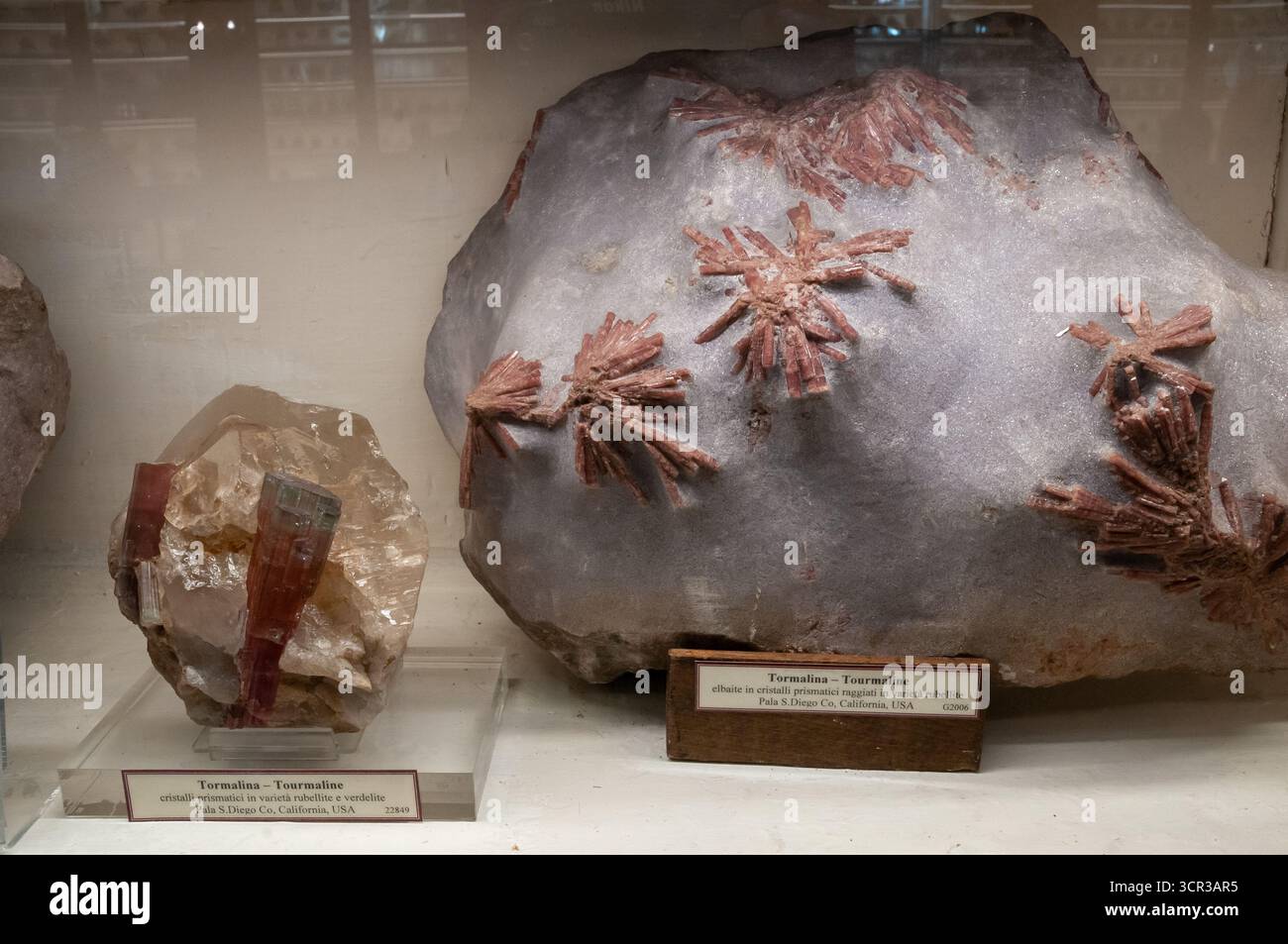 Turmalin Mineral. Königliches Mineralogisches Museum von Neapel (Real Museo Mineralogico) Stockfoto