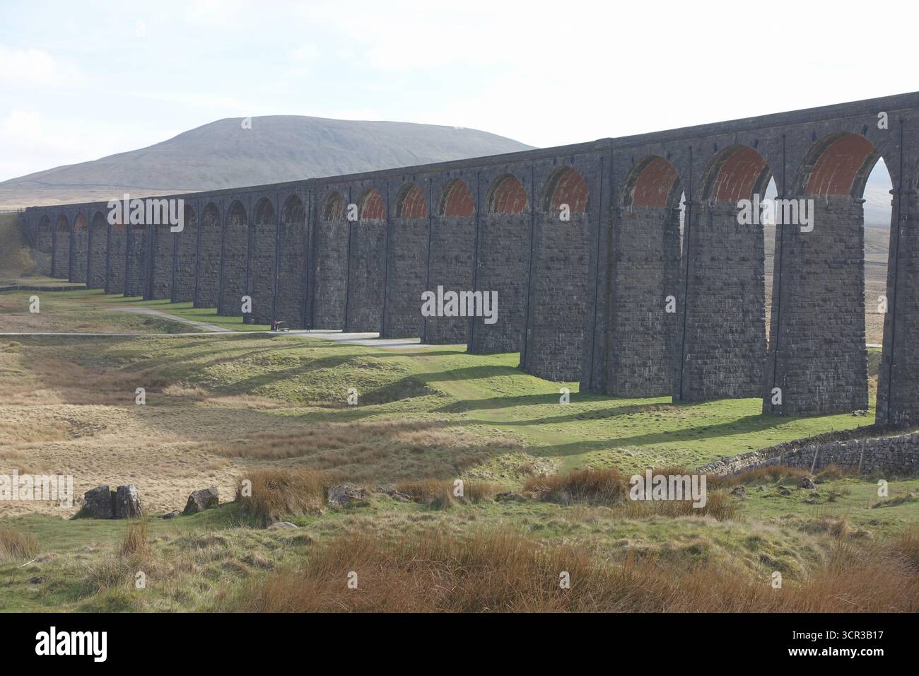 Ingleborough durch das Ribblehead Railway Viaduct auf dem 3 Peaks Trail in Ribblesdale, Yorkshire Dales National Park, Yorkshire, England, Großbritannien. Stockfoto