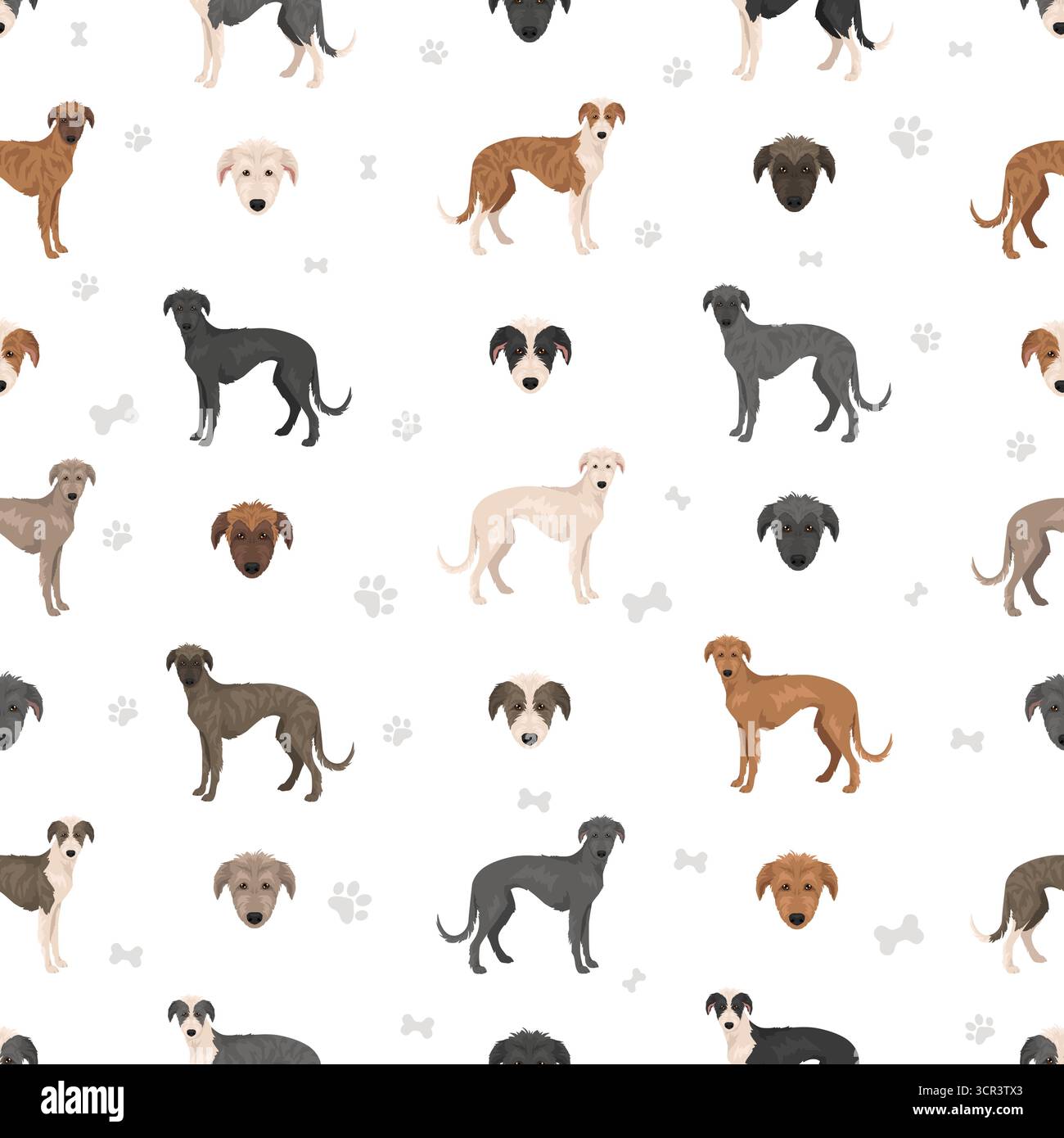 Amerikanischer Staghound Clipart. Greyhound, schottischer Deerhound, irischer Wolfhound, Borzoi-Mix. Verschiedene Fellfarben eingestellt. Vektorabbildung Stock Vektor