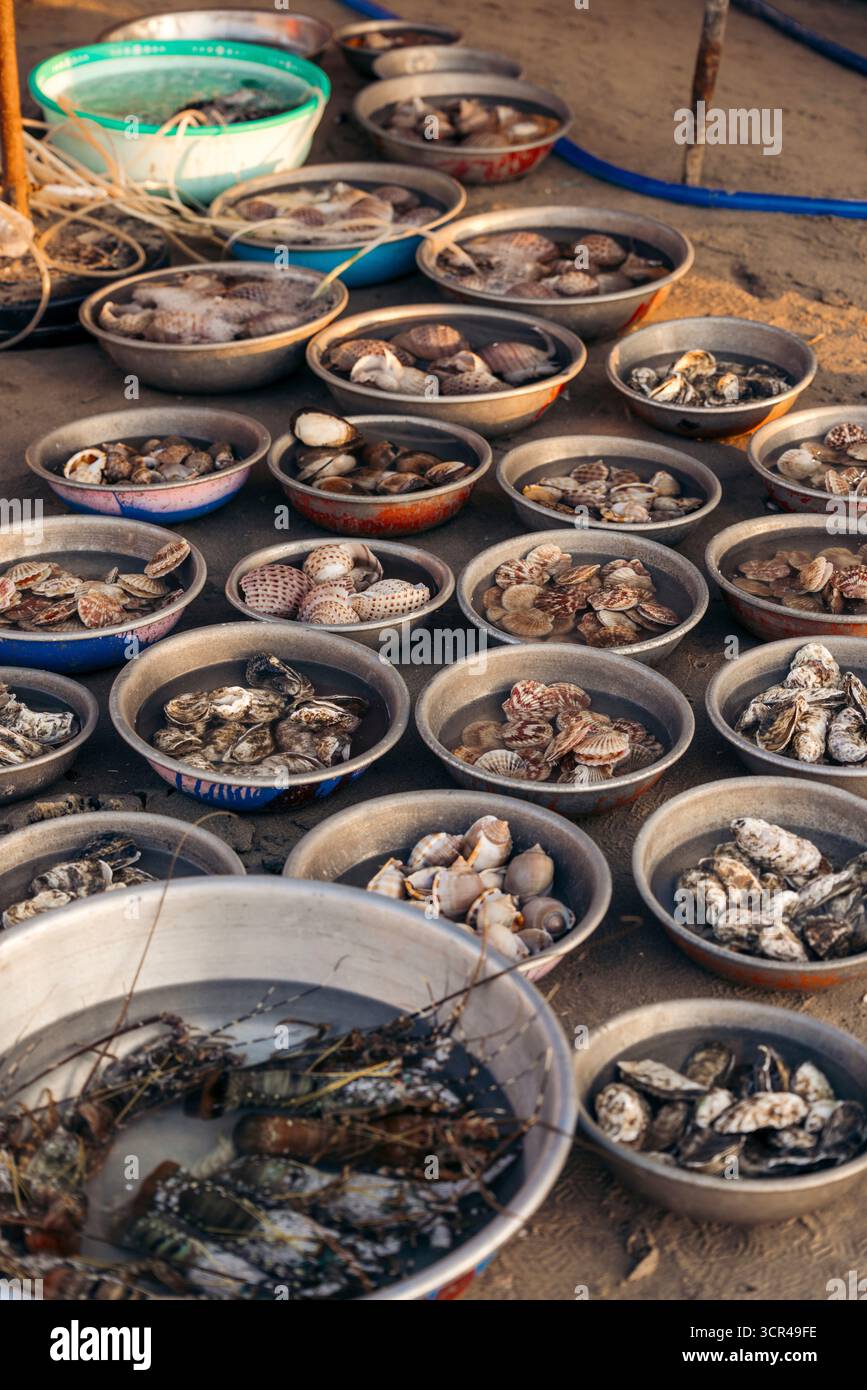 Eine Vielzahl von Schalentieren, die in Schüsseln auf sandigem Boden auf einem Markt im Freien präsentiert werden. Mui Ne, Vietnam Stockfoto