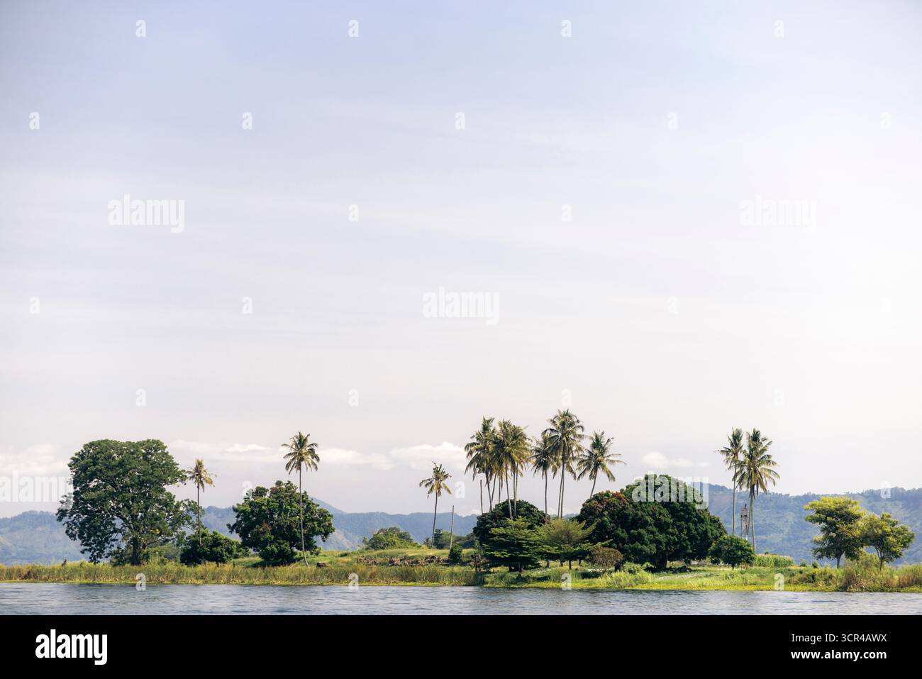 Eine abgelegene tropische Insel mit Palmen und üppigem Grün unter einem klaren blauen Himmel. Lake Toba, North Sumatra, Sumatra, Indonesien Stockfoto
