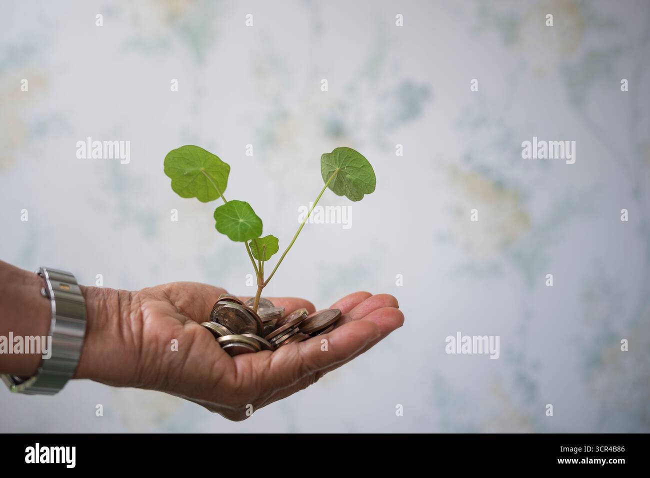 Investitionshand. Stockfoto