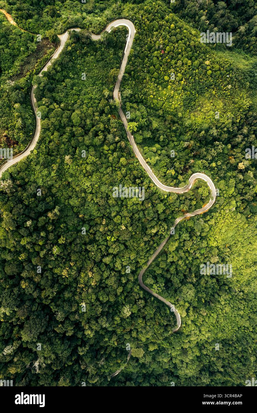 Luftaufnahme der kurvenreichen Straßen im Dschungel des Nagan Raya Regency in Aceh, Sumatra, Indonesien Stockfoto