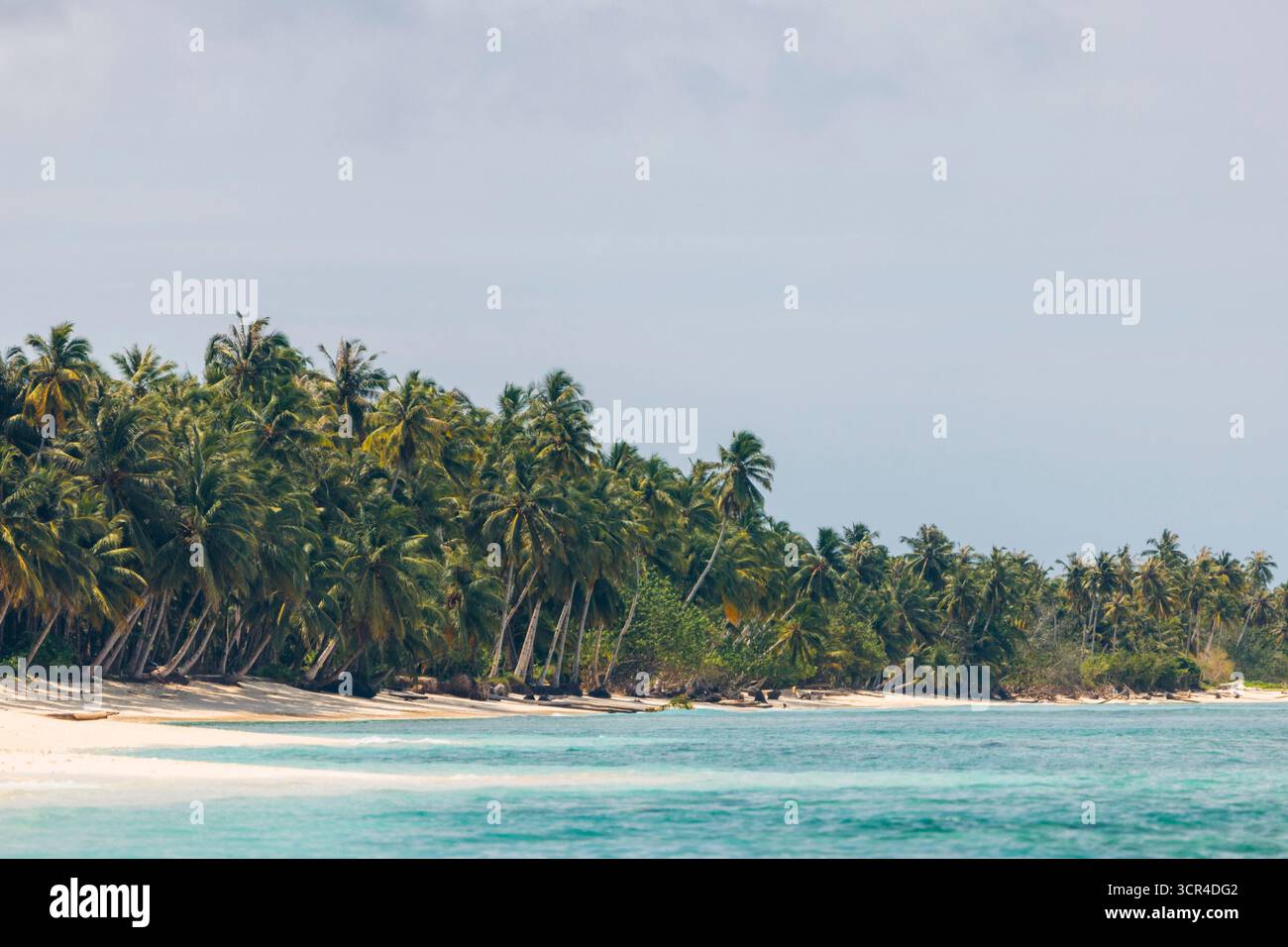 Tropischer Strand mit Palmen am Sandstrand und klarem blauem Meereswasser. Mentawai, West Sumatra, Indonesien Stockfoto