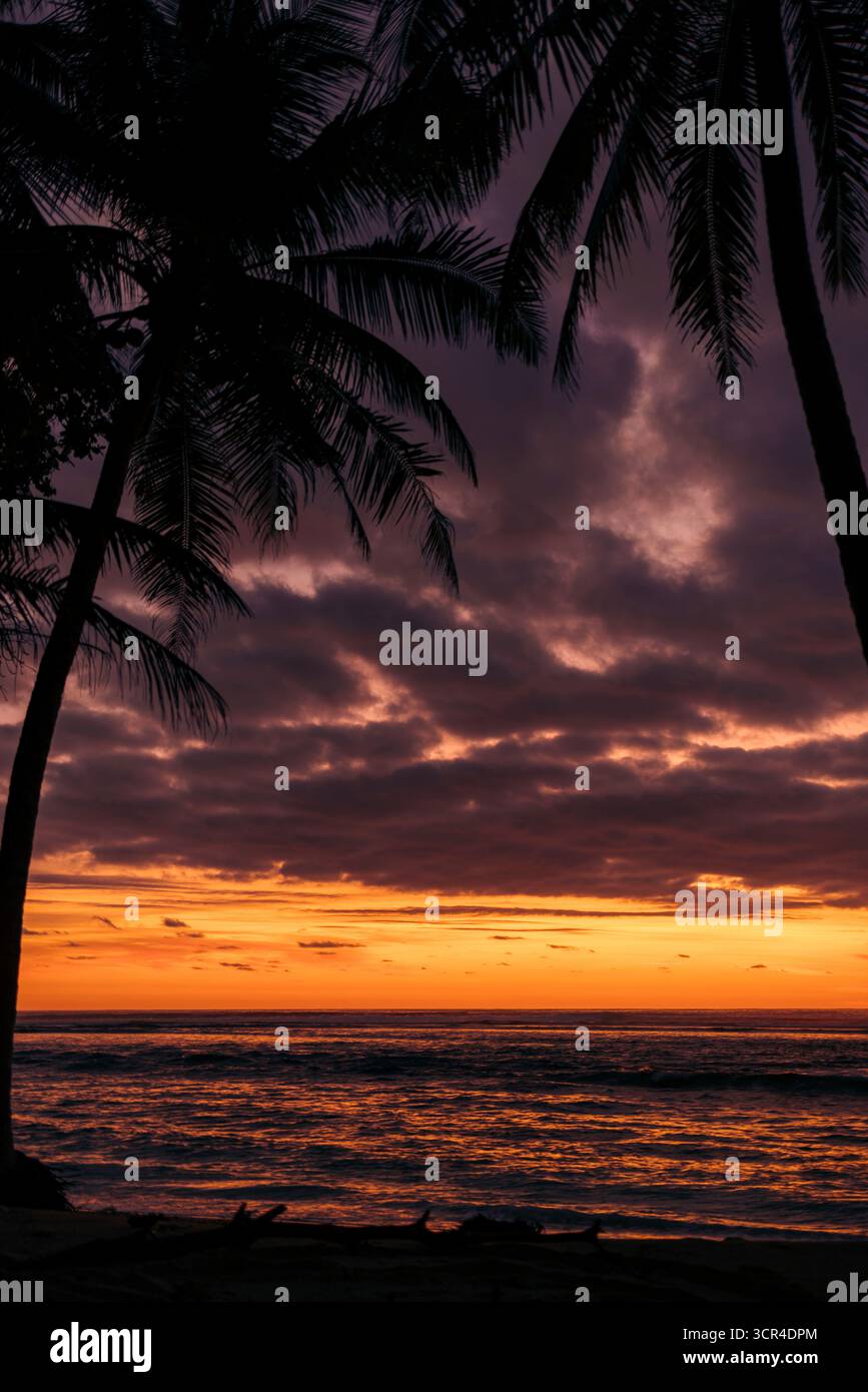 Tropischer Sonnenuntergang am Strand mit Silhouetten von Palmen und lebendigem Himmel in Orange- und Violettönen. Krui, Lampung, Sumatra, Indonesien Stockfoto