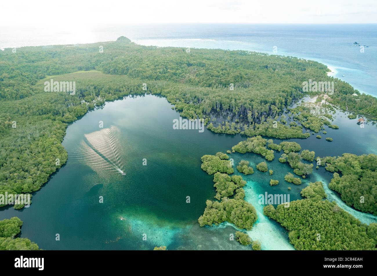 Blick aus der Vogelperspektive auf den üppigen grünen Regenwald, das klare blaue Meer und das kleine Boot in einer ruhigen Bucht. In der Nähe des Dorfes Sipora, in Mentawai, West Sumatra, Indonesien Stockfoto
