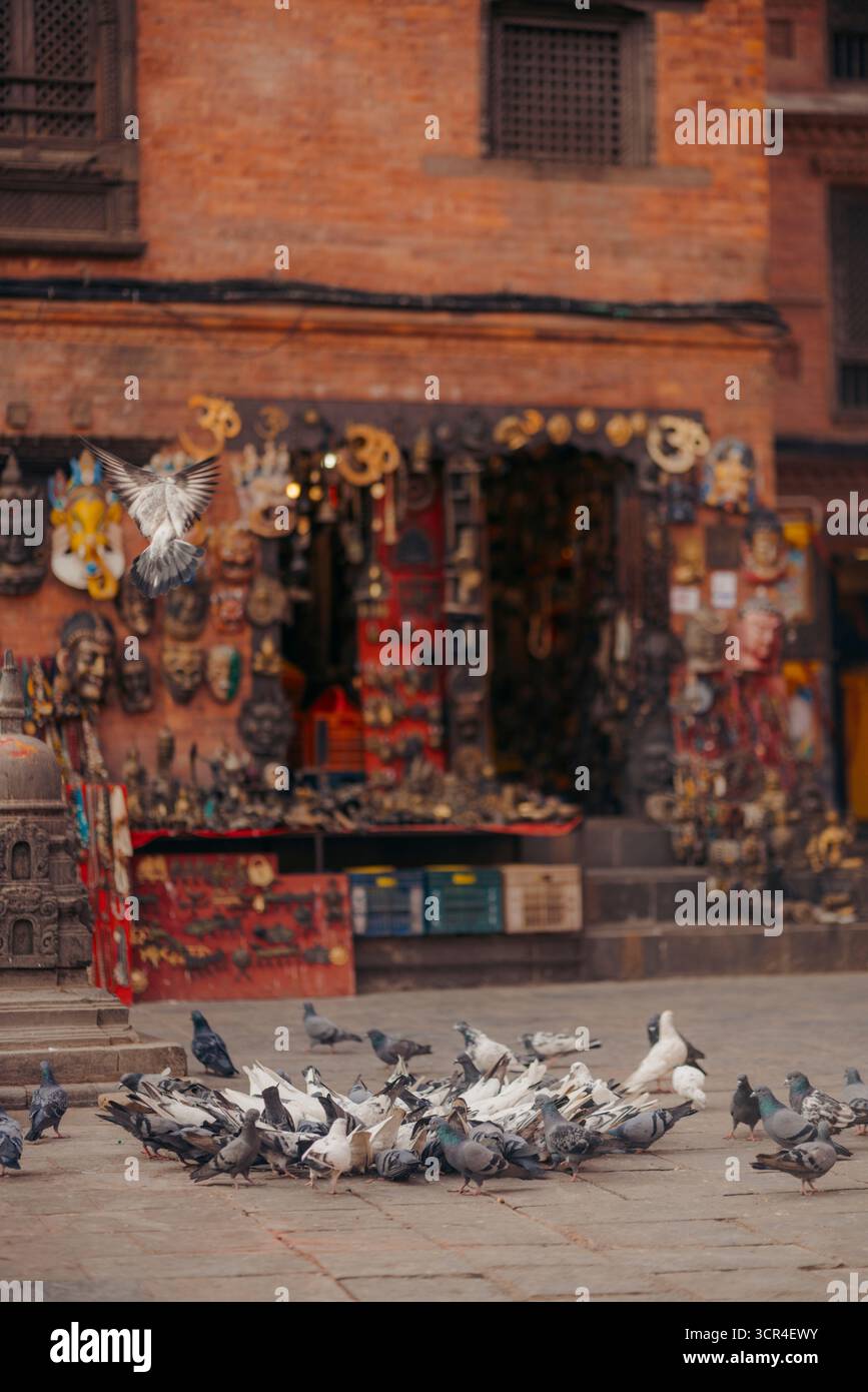 Tauben versammeln sich vor einem rustikalen Geschäft mit bunten Masken und Schmuckstücken, die draußen ausgestellt werden. Affentempel, Kathmandu, Nepal Stockfoto