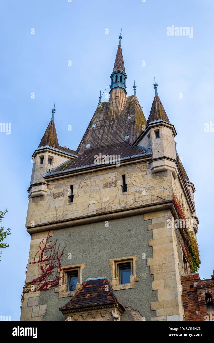Hoher Turm der Burg Vajdahunyad mit gotischen Türmen und mit Efeu bedeckten Wänden, fotografiert von unten vor klarem Himmel. Stockfoto