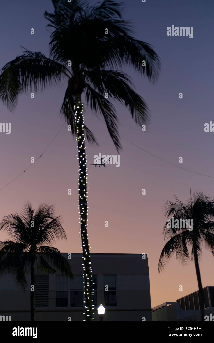 Palmen mit festlichen Lichtern vor Sonnenuntergang Himmel, Flugzeug fliegen über dem Himmel. Miami, Florida, USA Stockfoto