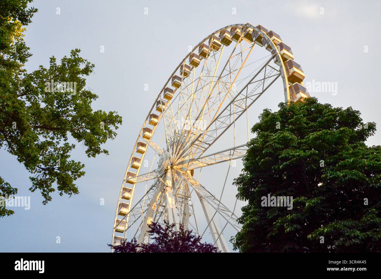 Großes Riesenrad Budapest Eye, das sich bei Sonnenuntergang über Bäumen erhebt. Stockfoto