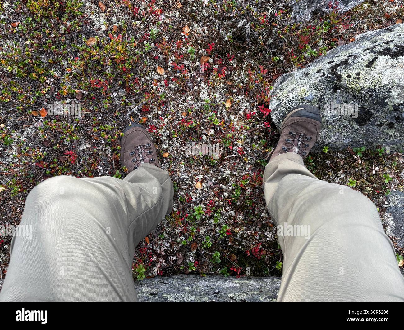 Vätsäri Wilderness Area in Finnisch Lappland, Finnland. Abgelegene subarktische Landschaft mit Wäldern, Seen und felsigem Gelände. Stockfoto