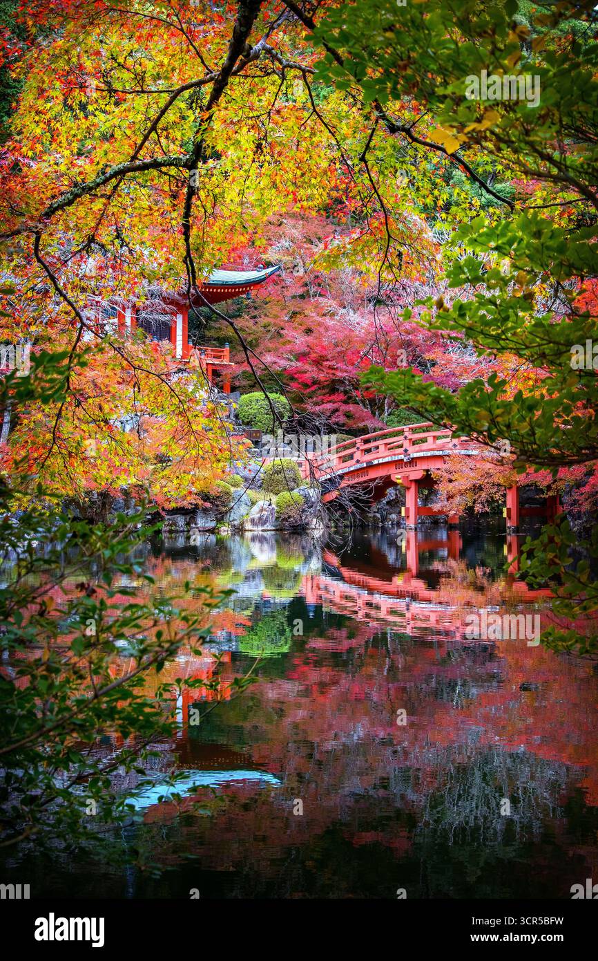 Herbstblick auf den Daigo-JI-Tempel, Kyôto, Japan. Vertikaler Blick auf den pavillon und die rote Brücke, die sich im Wasser spiegelt, umgeben von lebendigem Ahornlaub Stockfoto