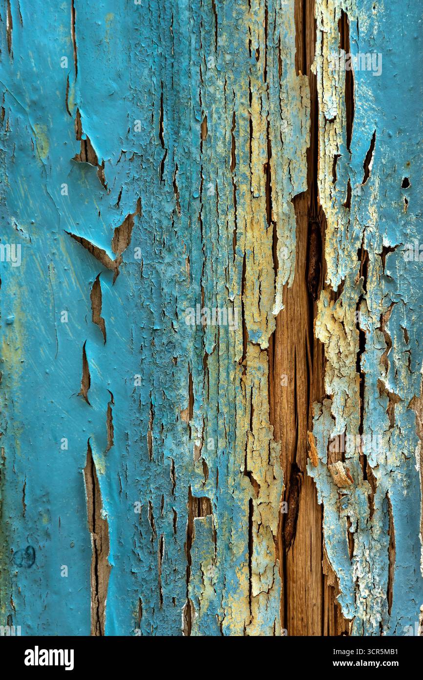 Verblasstes blaues Holz zeigt Alterserscheinungen mit abblätternder Farbe, die die Texturen und Muster hervorhebt, die mit verwitterten Materialien verbunden sind. Stockfoto