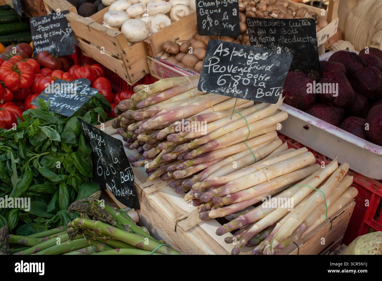 Garten Spargel, Asparegus officinalis, zum Verkauf am Marktstand in Aix-en-Provence Frankreich Stockfoto