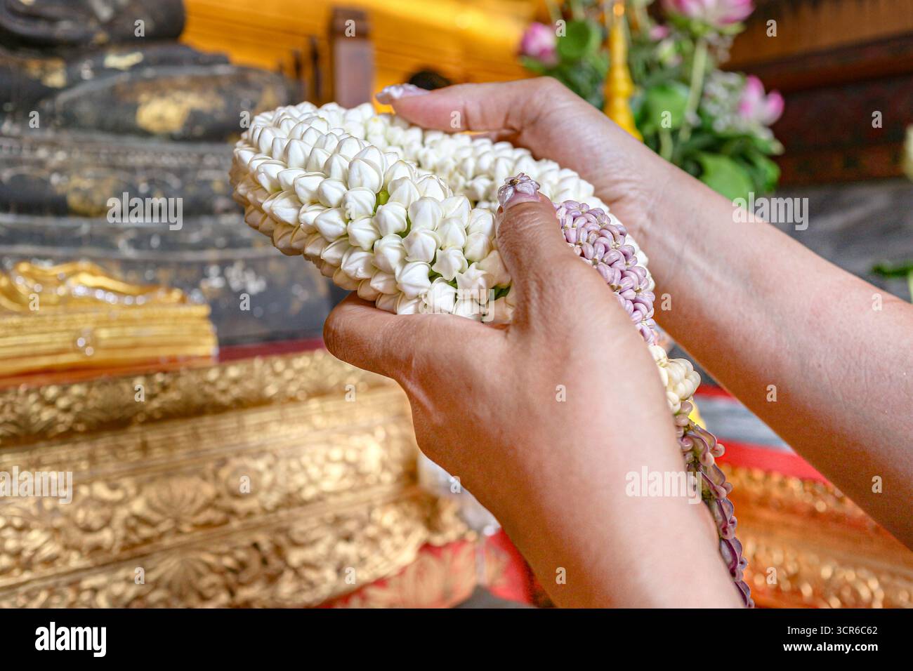 Nahaufnahme der Hände mit thailändischer Blumengirlande aus Gardenien und Kronenblumen, die in buddhistischer Zeremonie als kulturelles und spirituelles Symbol angeboten werden. Stockfoto