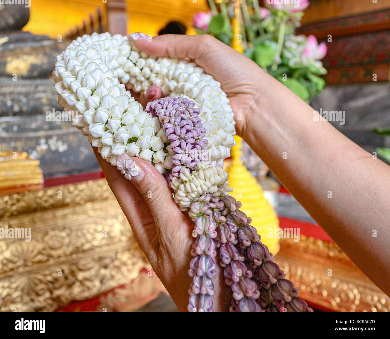 Hände präsentieren thailändische Blumengirlande aus Gardenie und Kronenblumen bei der Tempelzeremonie. Kulturelle und spirituelle Hingabe Thailands. Stockfoto
