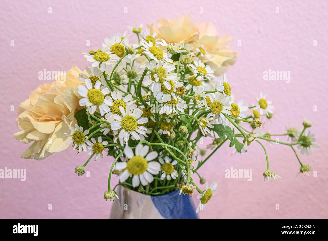 Gelbe Rosen und Gänseblümchen in einer Vase auf pastellrosa Hintergrund. Elegantes Blumendekor, perfekt für Hochzeit, romantisches Design, Lifestyle, feminines Branding. Stockfoto