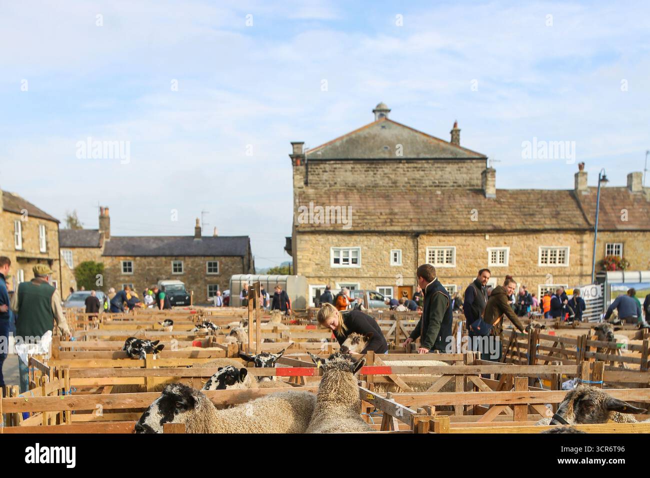 40. Masham Sheep Fair, North Yorkshire, England 2025 Stockfoto