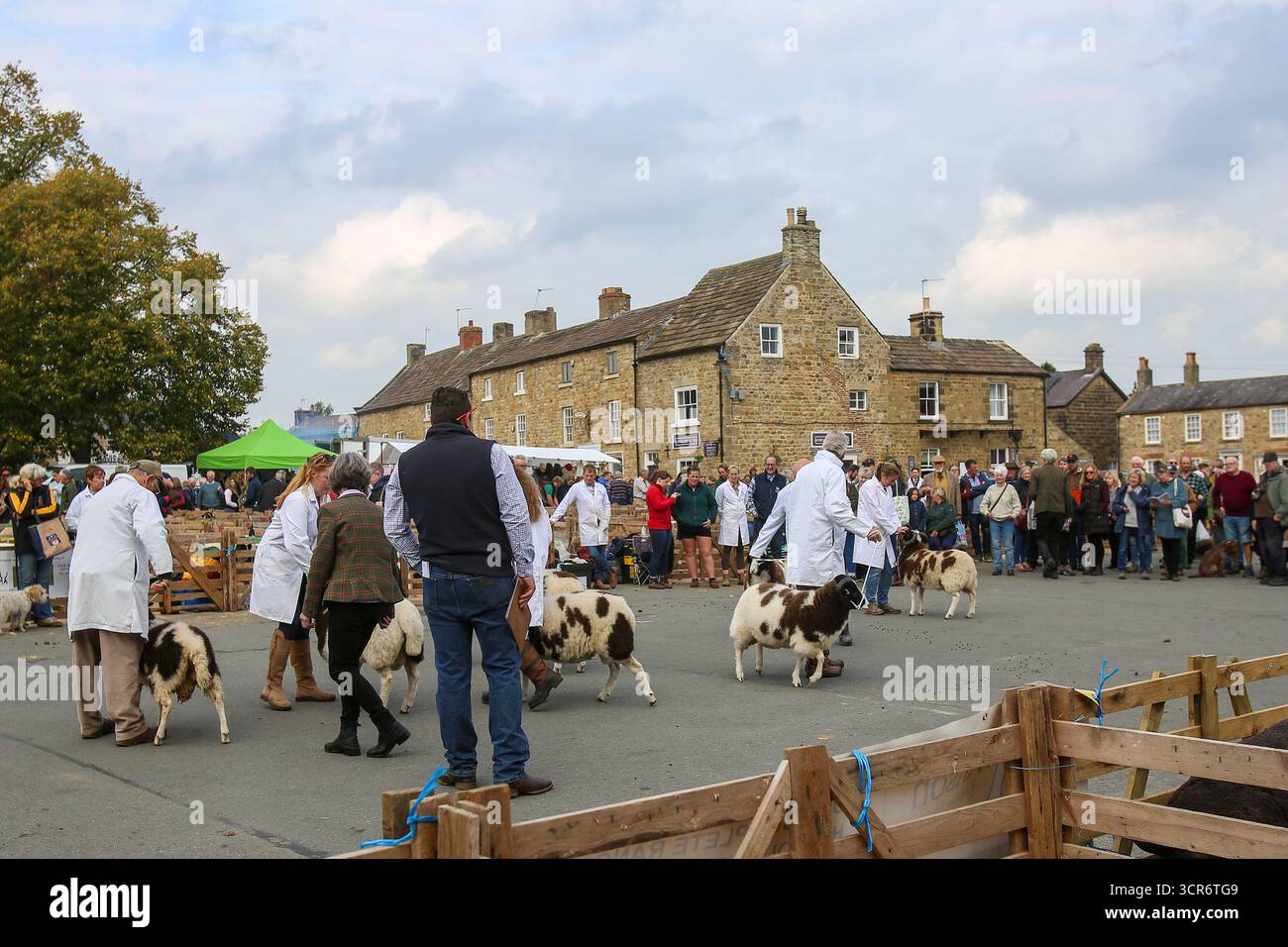 40. Masham Sheep Fair, North Yorkshire, England Stockfoto